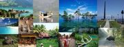 Offers Package tours 