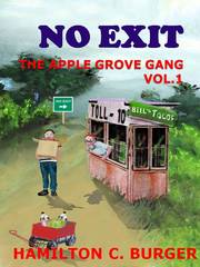 The Apple Grove Gang Series-Books for kids 8-12   hamiltoncburger.com