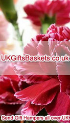 Gifts’ destination comes loaded with Flowers and Hampers