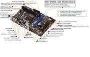 MSI Graphic Card Mother Boards 