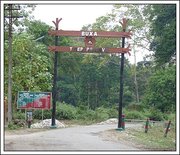 Beautiful Forest Trip at Buxa Tiger Reserve this Durga Puja 2013