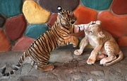 A Leopard Rehabilitation Centre Is Located At Khairbari