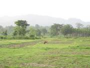 A River Side Hill Based Land for Sale