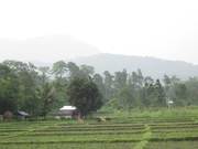 Land sale on Alipurduar Jn
