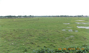Commercial Land and Resort Sale in Siliguri at Affordable Price