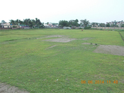 7 Bigha commercial land for sale in Siliguri Eastern Bypass