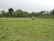 Alipurduar Commercial Plot is Available for Sale at Low Cost
