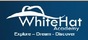 White Hat Academy - Offering Internet Marketing,  SEO , PPC Training