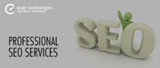 Task of a SEO Services Company