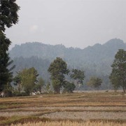 Conversion 3  Bigha land Sale near Alipurduar
