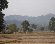 Land is on Sell in Alipurduar