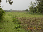 Sell Commercial Land at Alipurduar Just 5 Lakhs 50 Thousands