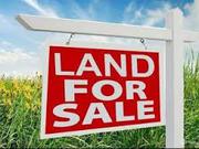Big Commercial Land Sell for Business Purpose