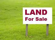 Large Commercial Land Sell for Business Purpose