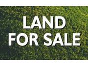 Real Estate Project Land for Sale