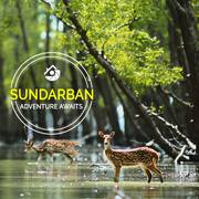 Sundarban homestay deals at great price online