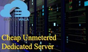 Choosing the Cheap Unmetered Dedicated Server