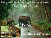 Enjoy with Beautiful Sight Seeing at Buxa Tiger Reserve Forest