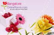 Send the Best Valentine's Day Gifts to Bangalore at Low Cost