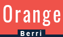 orange berri media best digital marketing services