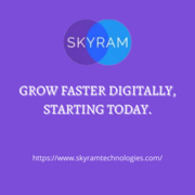 Digital Marketing Company Delhi -Skyram Technologies