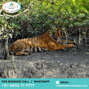 SUNDARBAN TOUR PACKAGE - 2 Nights 3 Days | Starts From @7500/- PP