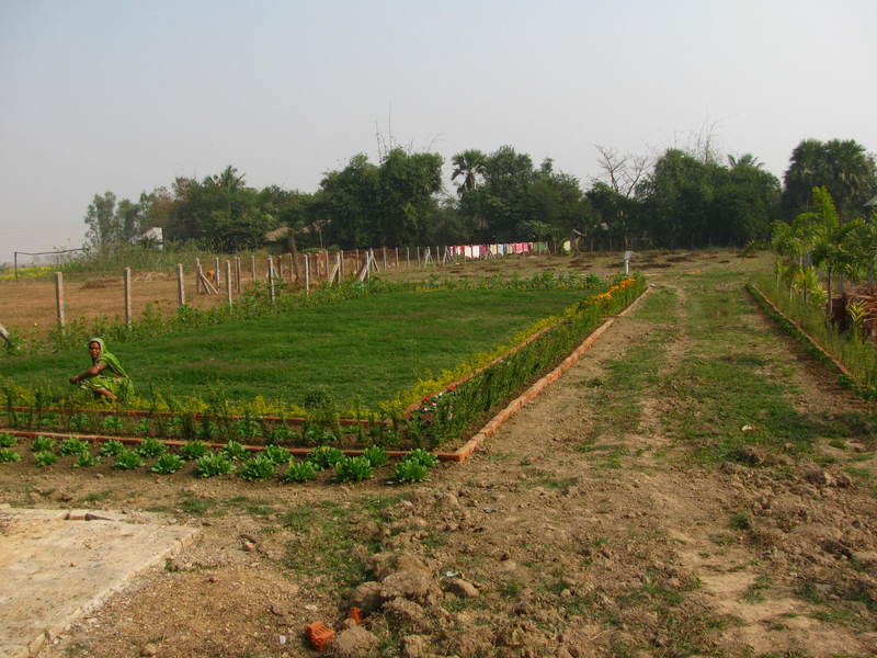 Superb 33 cottah plot at BolpurShantiniketan near Kopai river. West